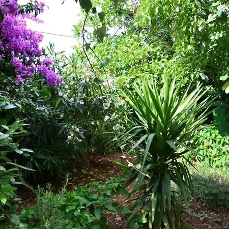 Bungalo - Near Trogir *